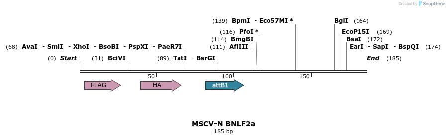 47737_map
