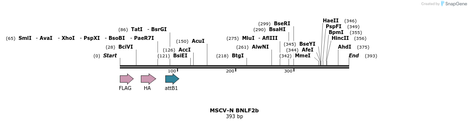 47738_map