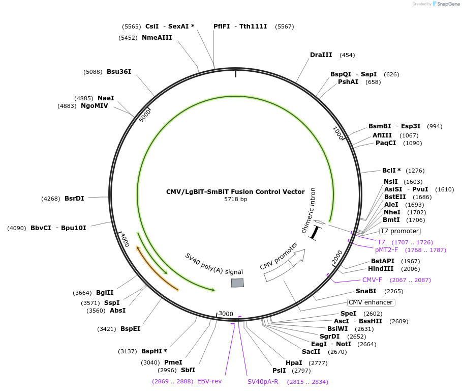 477410_map