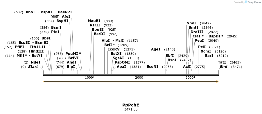 477450_map