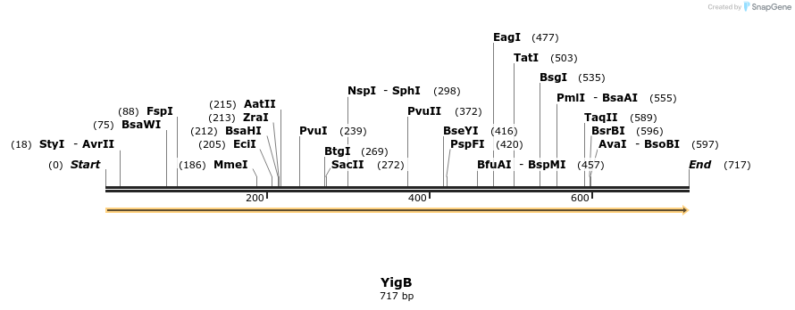 477456_map