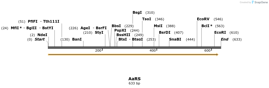 477462_map
