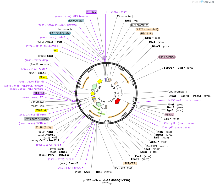 477524_map