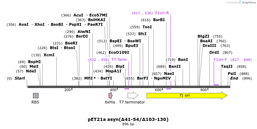 477582_map