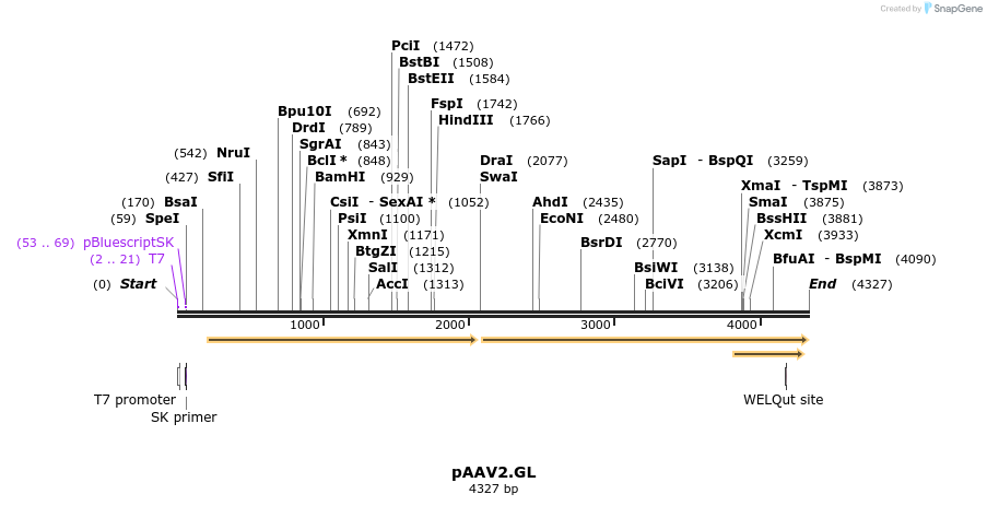 477704_map