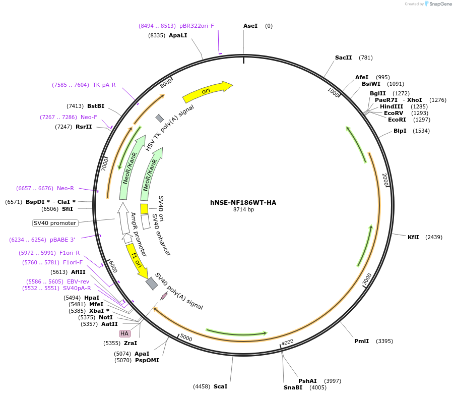 477710_map