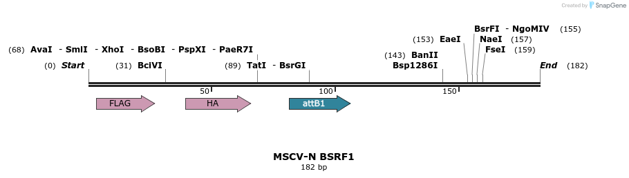 47775_map