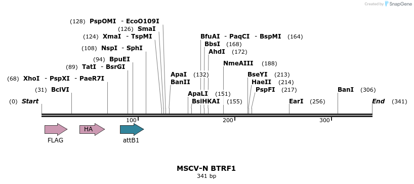 47778_map