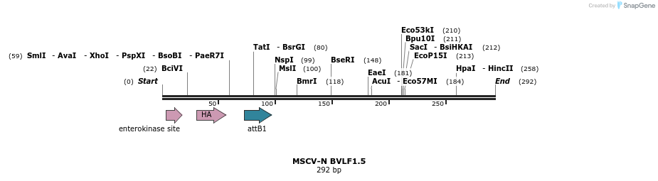 47779_map