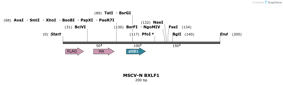 47780_map