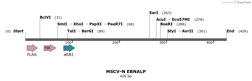47784_map