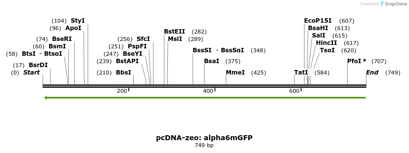 47791_map