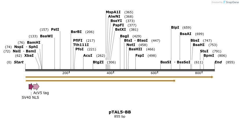 47799_map