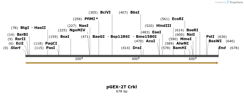 47801_map
