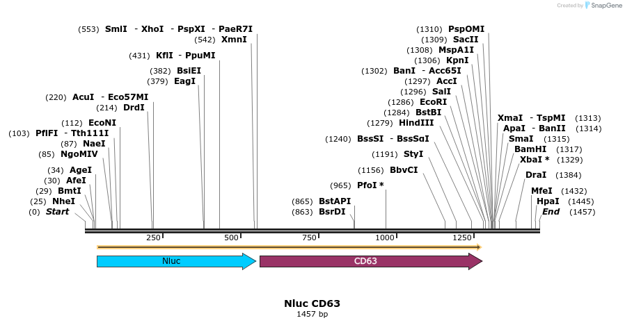 478040_map