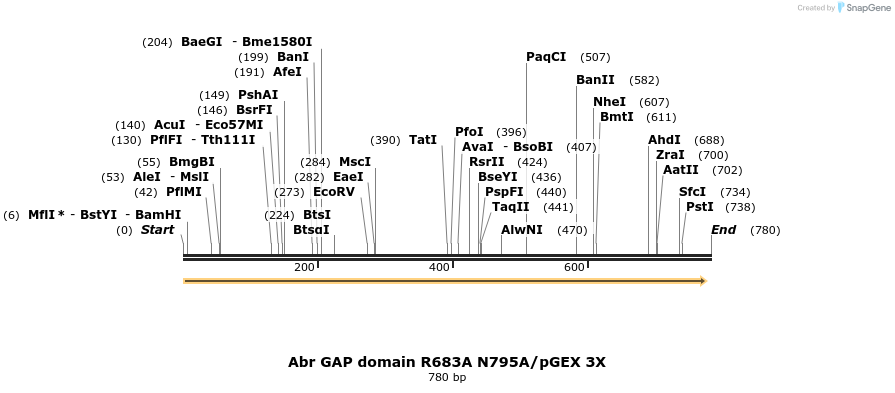 47805_map
