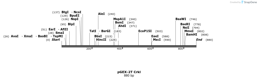 47806_map