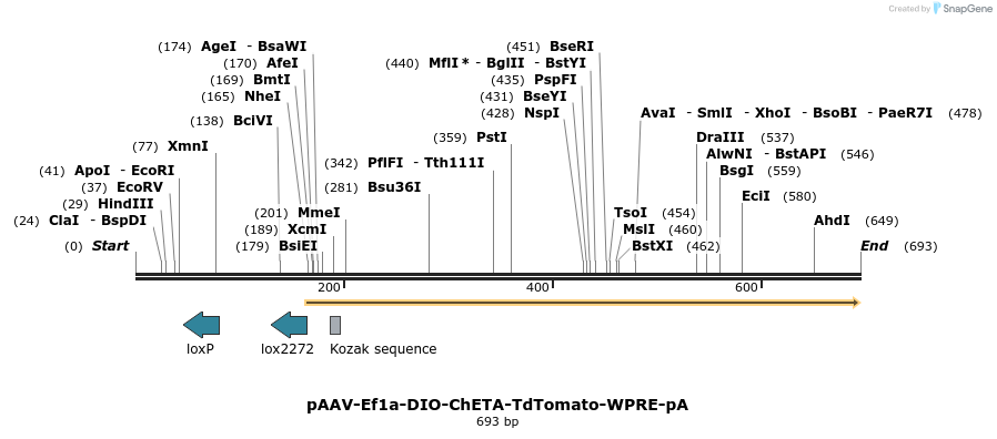 47815_map