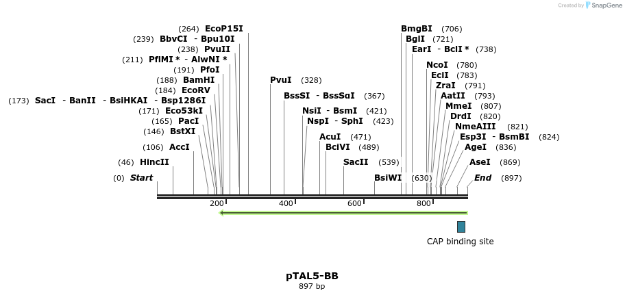 47817_map