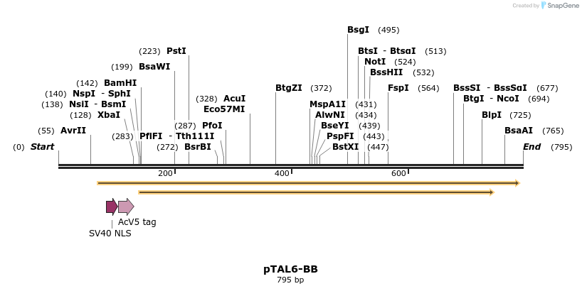 47821_map