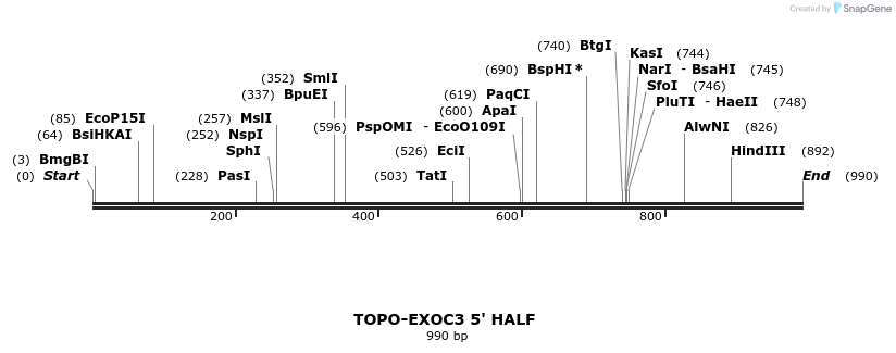 478220_map