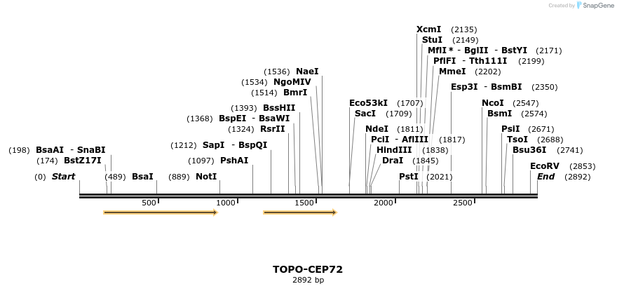 478229_map