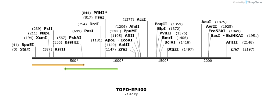 478231_map