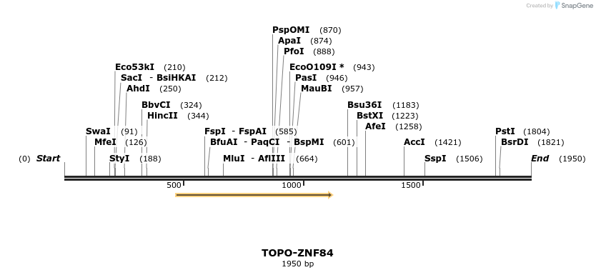478232_map