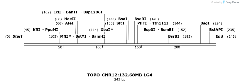 478236_map