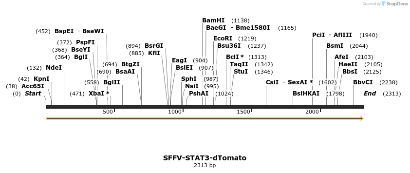 478245_map