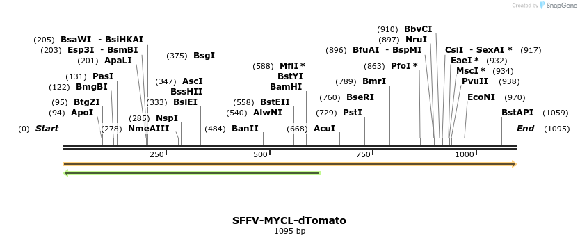 478251_map