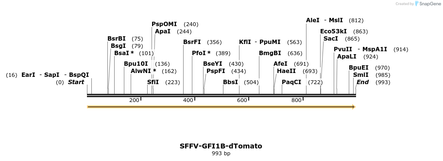 478253_map