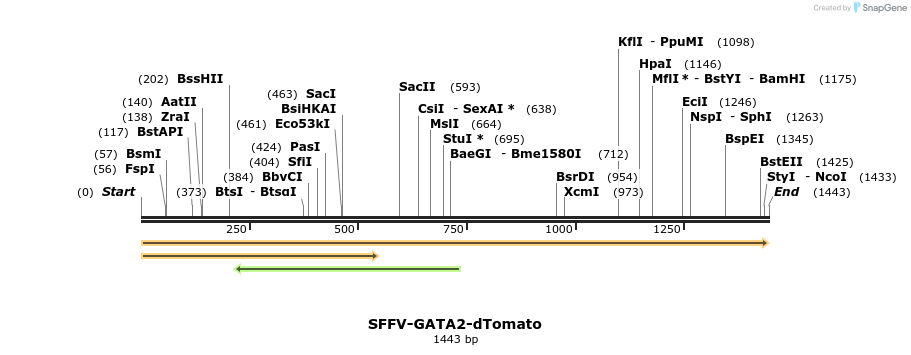 478255_map