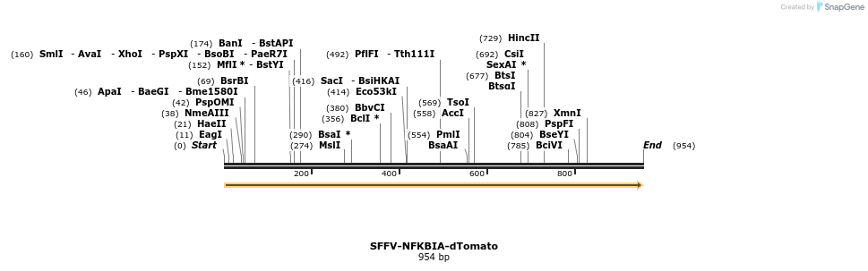 478257_map