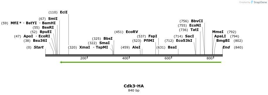 47835_map
