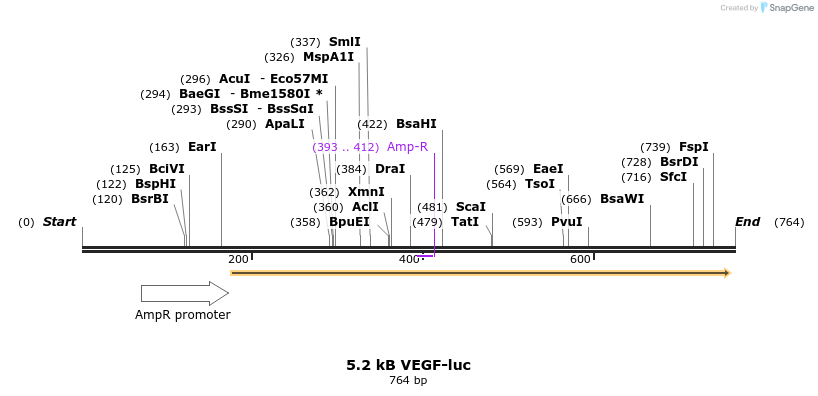 47840_map
