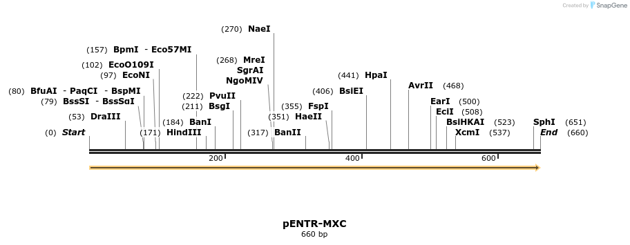 47841_map