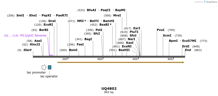 47851_map