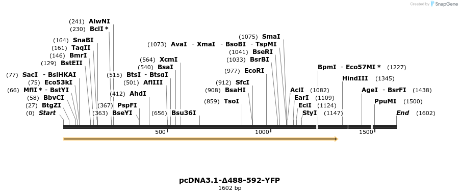 478514_map
