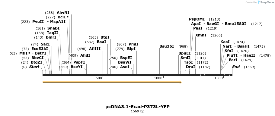 478516_map