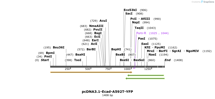478521_map