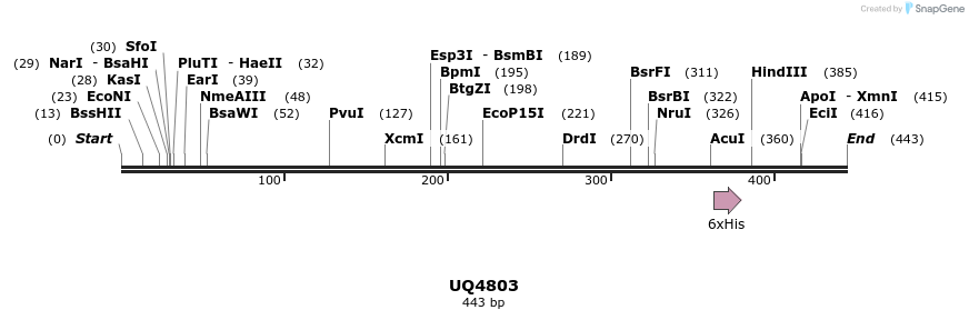 47854_map