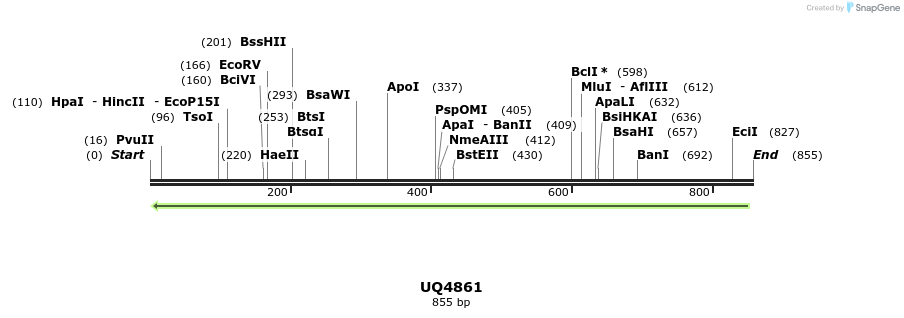 47859_map
