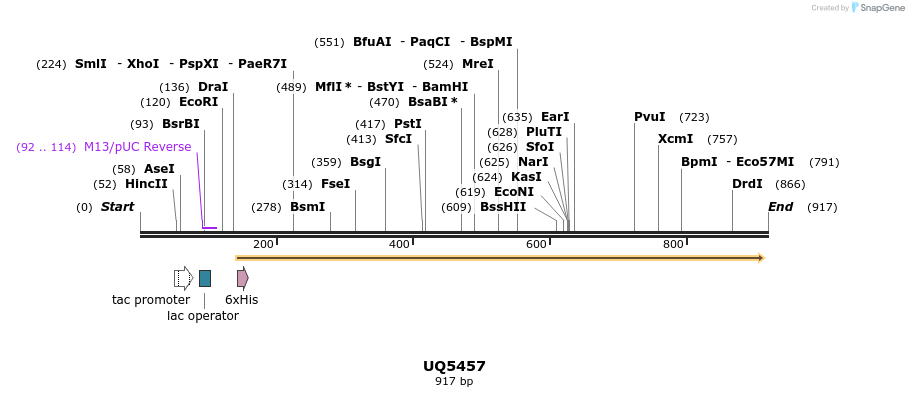 47862_map