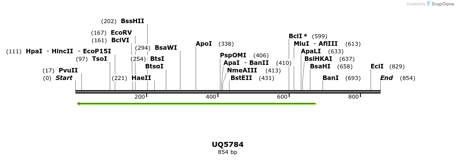 47863_map