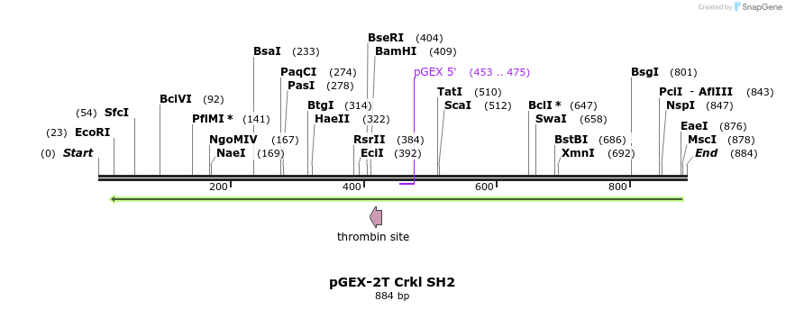 47865_map