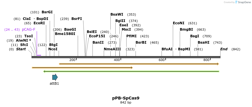 478669_map