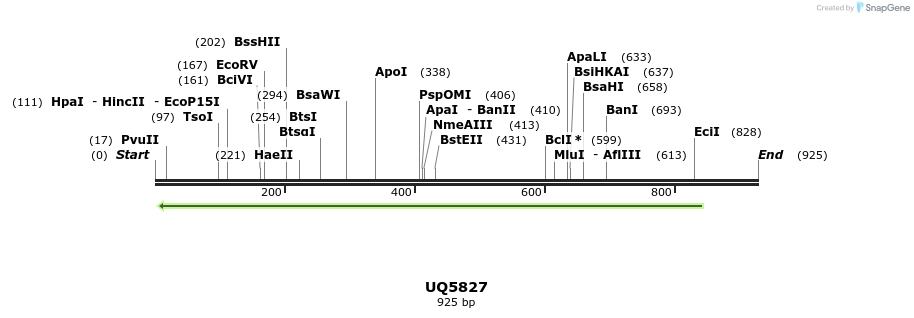 47867_map