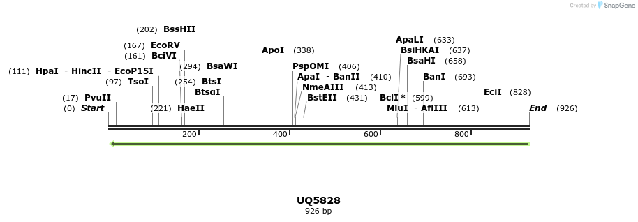 47868_map