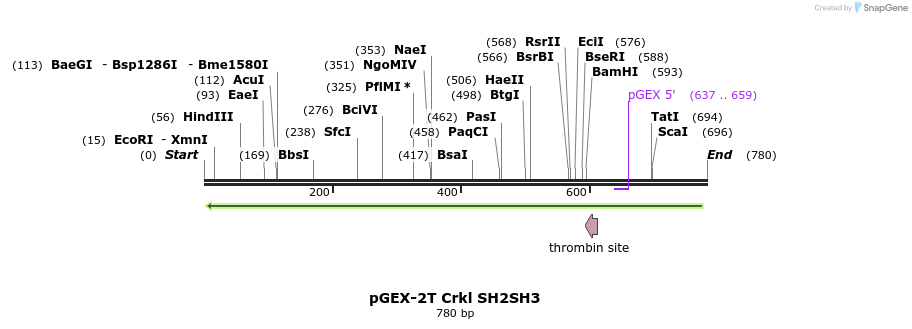 47869_map